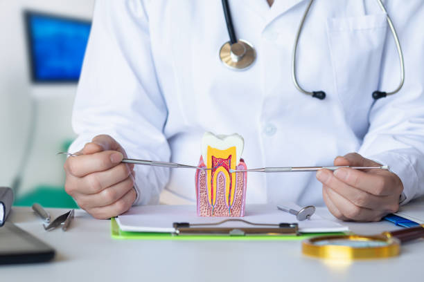 Best Pediatric Emergency Dentist in Carnegie, PA